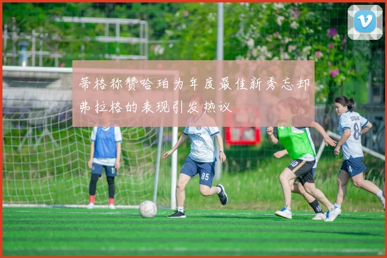 蒂格称赞哈珀为年度最佳新秀忘却弗拉格的表现引发热议