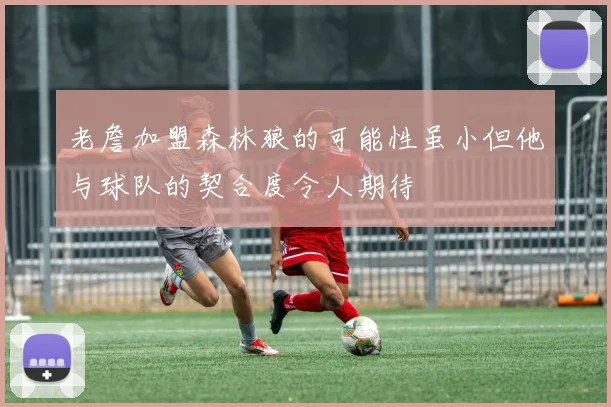 老詹加盟森林狼的可能性虽小但他与球队的契合度令人期待